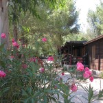 bungalow villaggio puglia